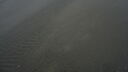 DSC04601.JPG
