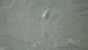 Filename=DSC04626.JPG
Filesize=334KiB
Dimensions=1080x608
Date added=Mar 26, 2024 DSC04626.JPG