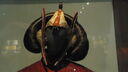 DSC04661.JPG