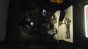 DSC04706.JPG