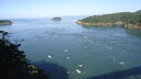Filename=DSC04743.JPG
Filesize=259KiB
Dimensions=1080x608
Date added=Mar 26, 2024 DSC04743.JPG