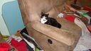 Filename=DSC04919.JPG
Filesize=312KiB
Dimensions=1080x608
Date added=Mar 26, 2024 DSC04919.JPG