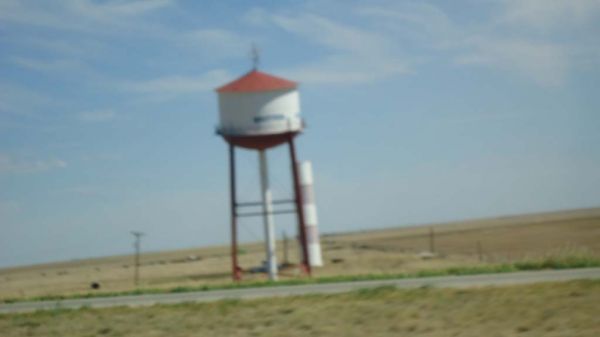 DSC00530.jpg
