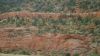 DSC00365.jpg