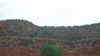 DSC00367.jpg