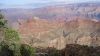 DSC00411.jpg