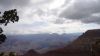 DSC00435.jpg