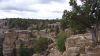 DSC00437.jpg