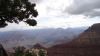 DSC00439.jpg