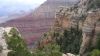 DSC00441.jpg