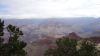 DSC00442.jpg