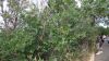 DSC00462.jpg