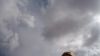 DSC00495.jpg