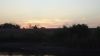 DSC00596.jpg
