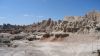 DSC00793.jpg