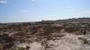 DSC00804.jpg