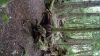 DSC01343.jpg