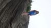DSC01394.jpg
