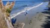 DSC01416.jpg