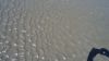 DSC00262.jpg