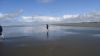 DSC00265.jpg