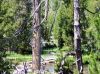100_1032.jpg