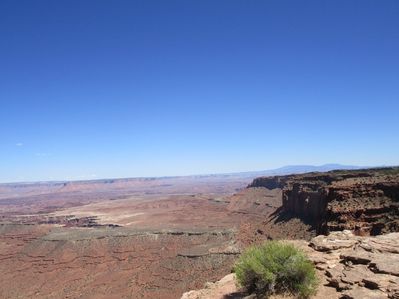 IMG_1441.jpg