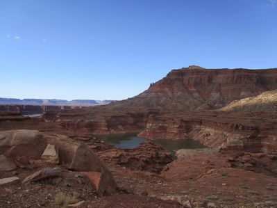 IMG_1466.jpg