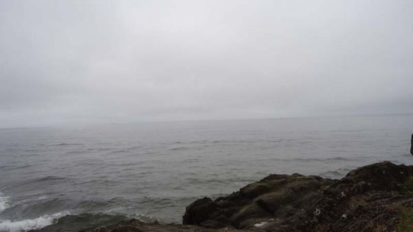 DSC01399.jpg