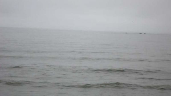 DSC01400.jpg