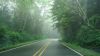 DSC01336.jpg
