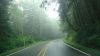 DSC01337.jpg