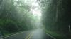 DSC01338.jpg