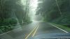 DSC01339.jpg