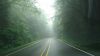 DSC01340.jpg