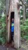 DSC01346A.jpg