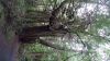 DSC01350.jpg