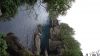 DSC01362.jpg