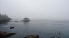 DSC01367.jpg