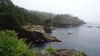 DSC01373.jpg