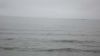 DSC01400.jpg