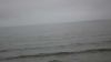 DSC01401.jpg