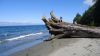 DSC01413.jpg