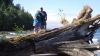 DSC01420.jpg