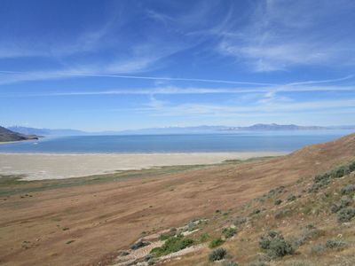IMG_1100.jpg