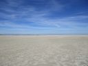 IMG_0005.jpg