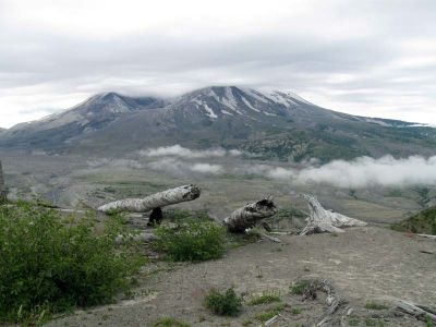 IMG_1947.jpg
