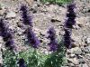 100_1050.jpg